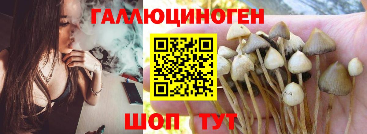 Галлюциногенные грибы GOLDEN TEACHER Тавда